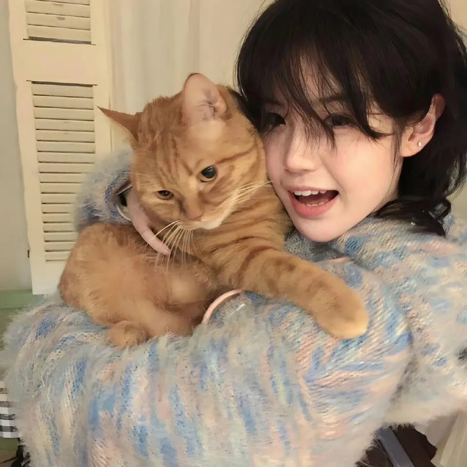 谁能带我回家